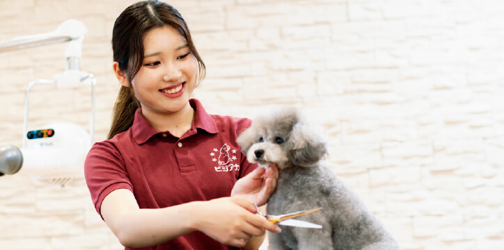 トリマーコース