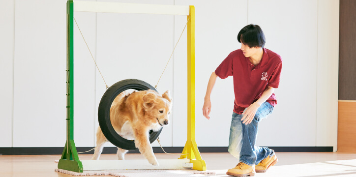ドッグトレーナーコース