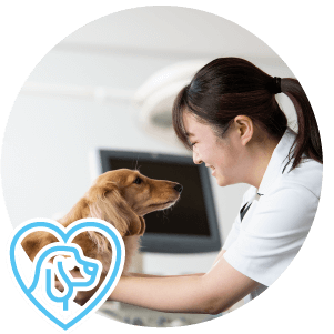 愛玩動物看護学科