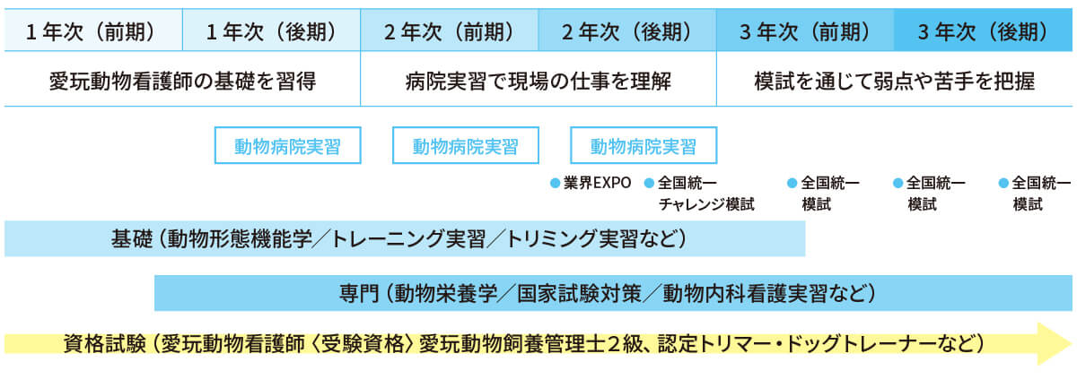2年間の学びの流れ