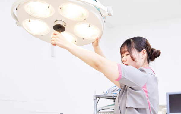 看護もカットもトレーニングも。全てできる動物看護師になれる