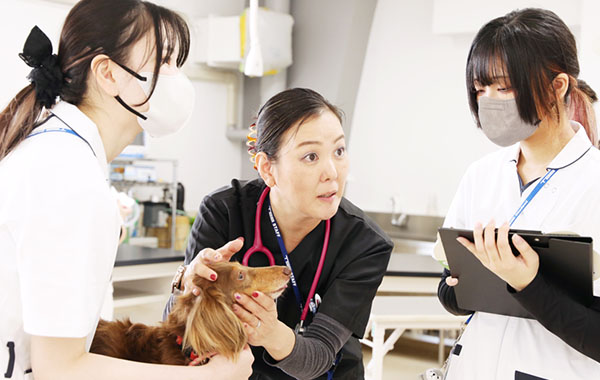 就職後に差がつく現場力教育