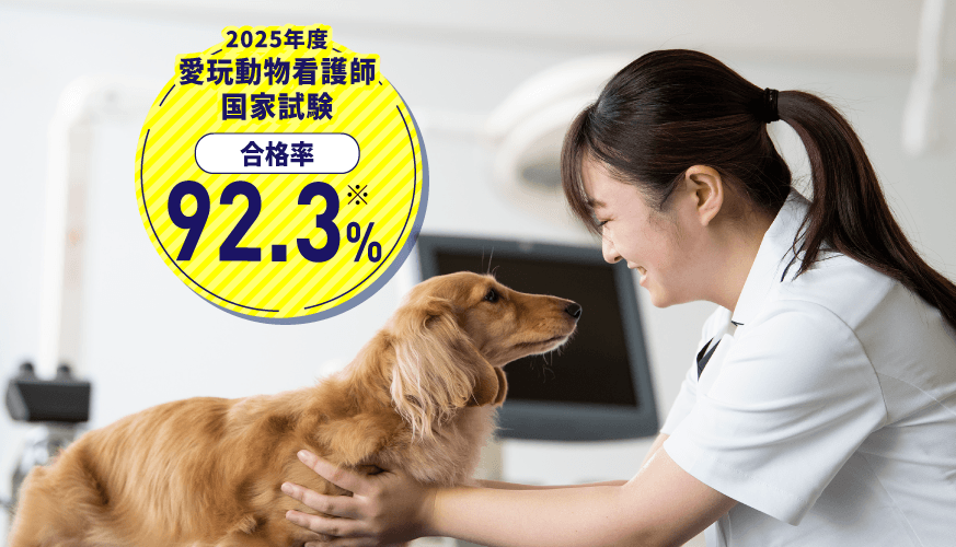 愛玩動物看護学科　愛玩動物看護師国家試験合格率92.3％