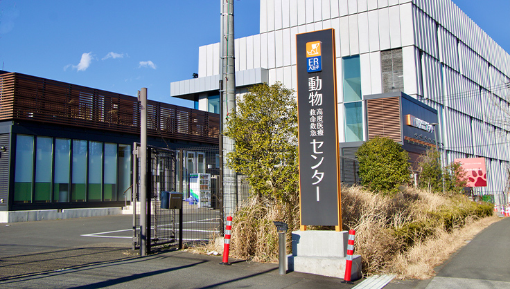 外部動物病院実習