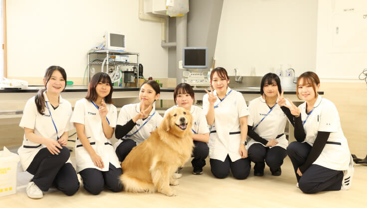 ペット看護士。 ペット専門国家資格「愛玩動物看護師」が4月に誕生へ…獣医療