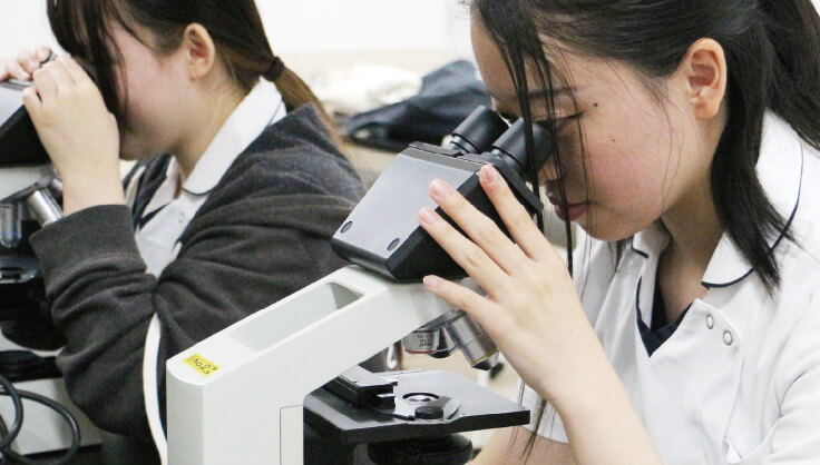 動物臨床検査学実習