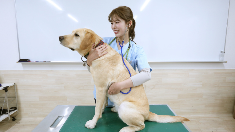 動物内科看護学演習