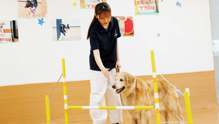 ペット看護士。 ペット専門国家資格「愛玩動物看護師」が4月に誕生へ…獣医療
