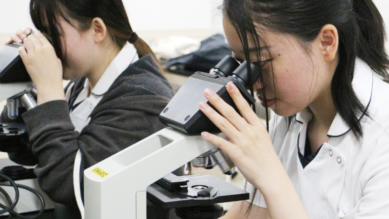 動物臨床検査学実習