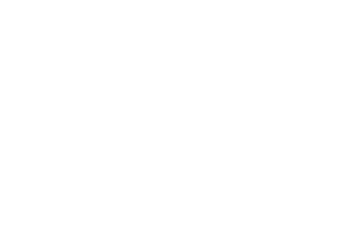 ナープロトコール