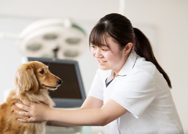 国家資格「愛玩動物看護師」の取得をめざす。