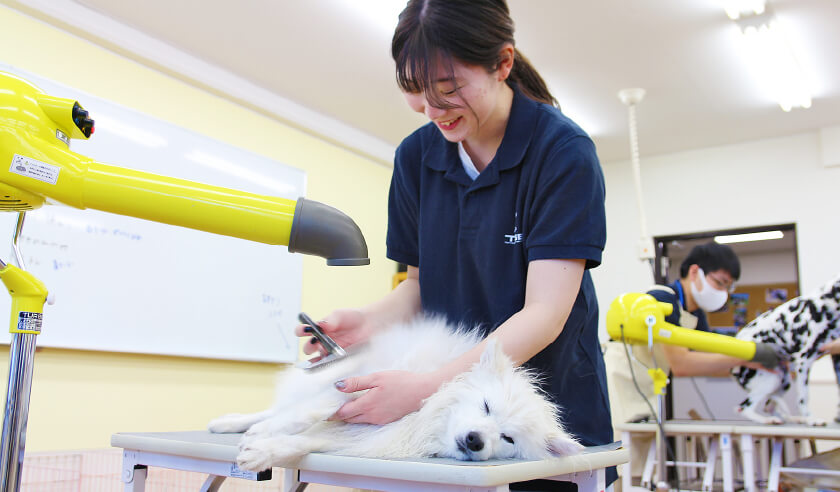 グルーミング実習