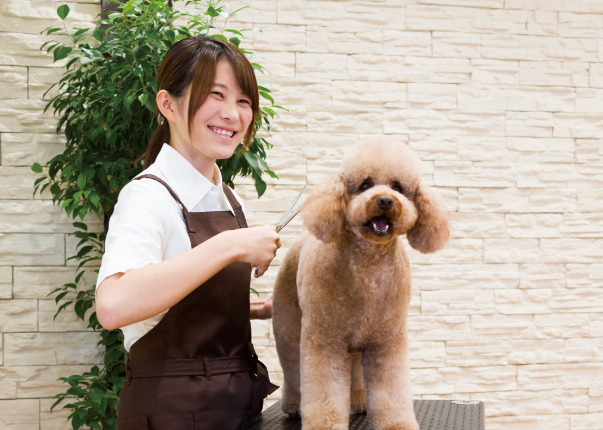 全コースでトリミング・トレーニング・動物看護を幅広く学べる
