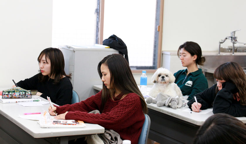 トレーニング概論