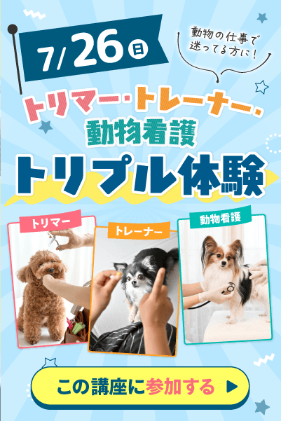 トリプル体験"