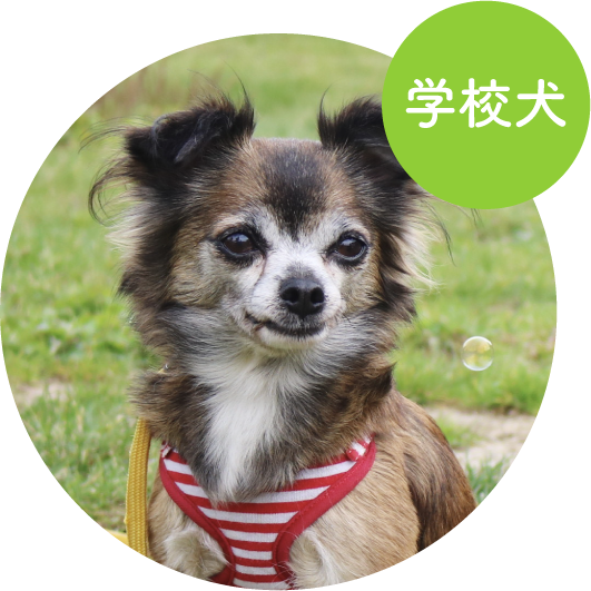 ちゑ／ミックス