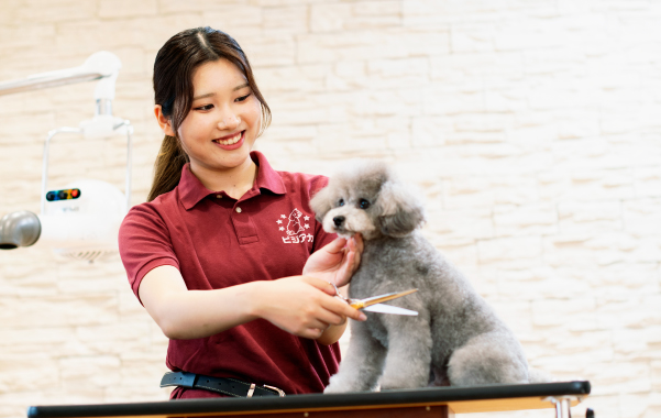 悩みに技術で応える家庭犬のスペシャリストをめざす
