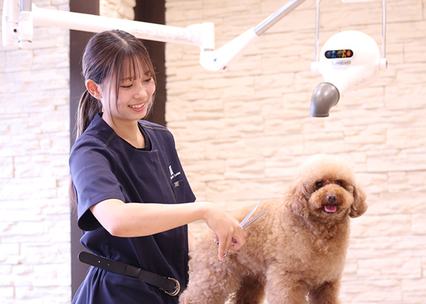 トリマーコース