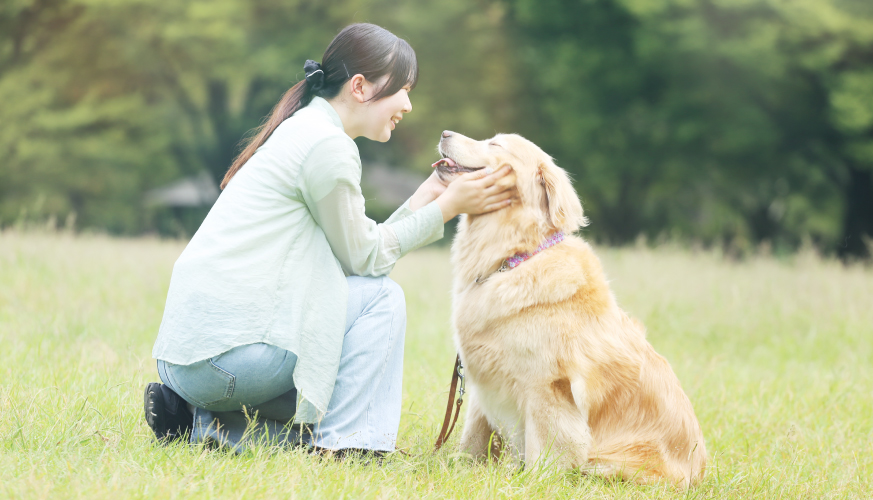 ペットビジネス学科