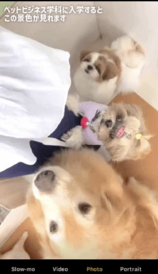 ペットビジネス学科オフィシャル