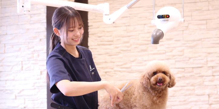 トリマーコース