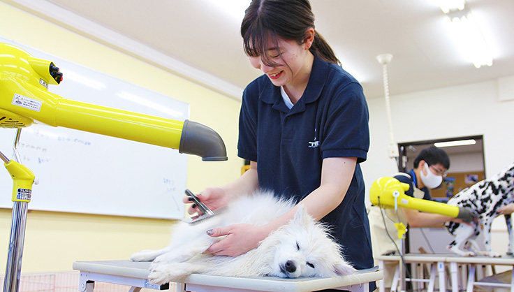 グルーミング実習