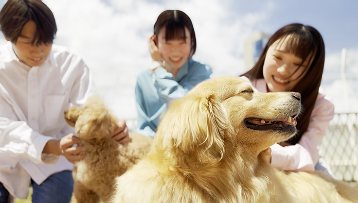 愛玩動物飼養管理士