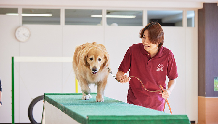 トレーニング実習