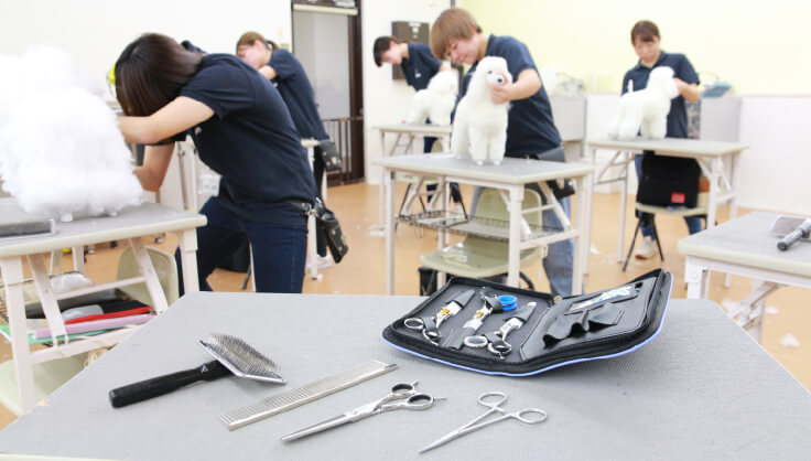 グルーミング概論