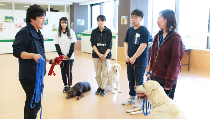 ドッグトレーナー論