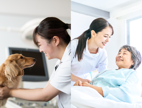 動物看護師と人間の看護師、同じ？ちがう？