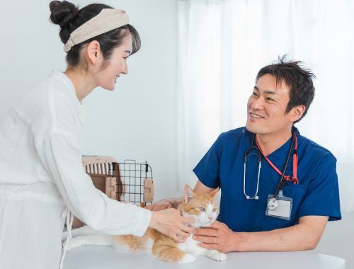 動物業界で働く上での飼い主様とのコミュニケーション