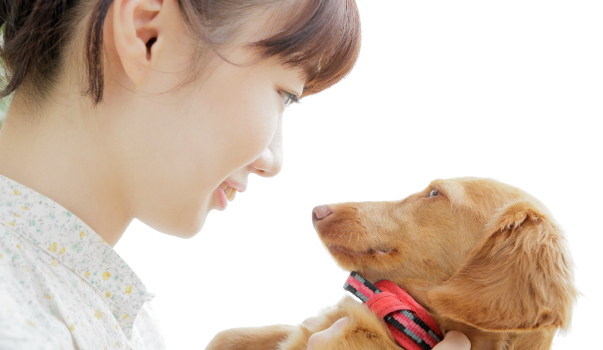 どんな仕事にも欠かせない、