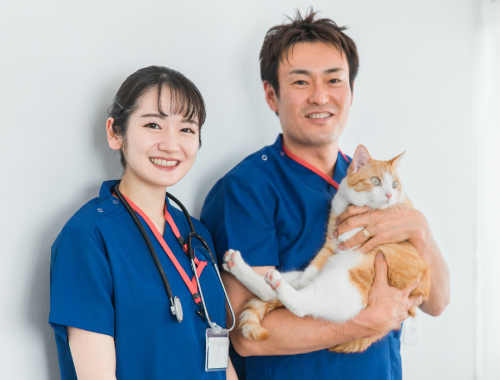 動物看護の現場で活きる“5つの人間関係力”