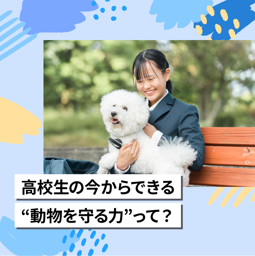 高校生の今からできる
