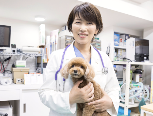 愛玩動物看護師は何歳まで働ける？長く続けられる仕事なの？