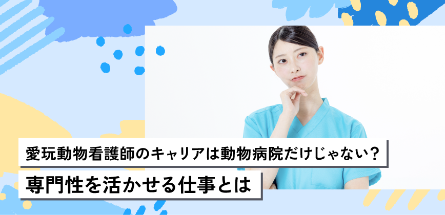 愛玩動物看護師のキャリアは動物病院だけじゃない?専門性を活かせる仕事とは