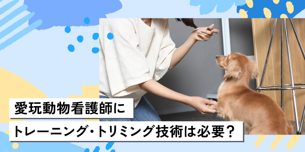 愛玩動物看護師にトレーニング・トリミング技術は必要?