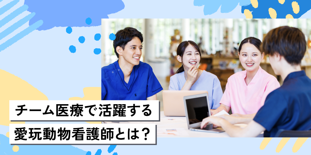 チーム医療で活躍する愛玩動物看護師とは?