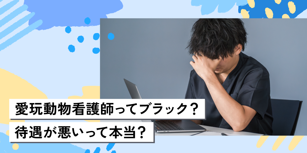 愛玩動物看護師ってブラック？待遇が悪いって本当？