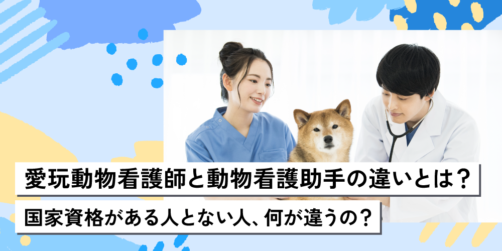 愛玩動物看護師と動物看護助手の違いとは?