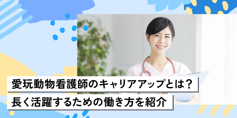 愛玩動物看護師のキャリアアップとは?長く活躍するための働き方を紹介