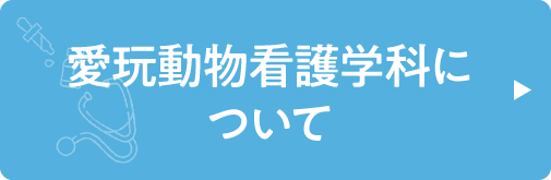 愛玩動物看護学科