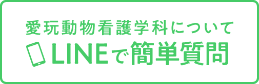 LINEで簡単質問