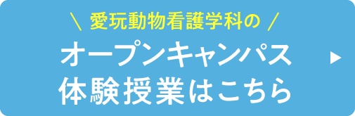 オープンキャンパス・体験授業はこちら
