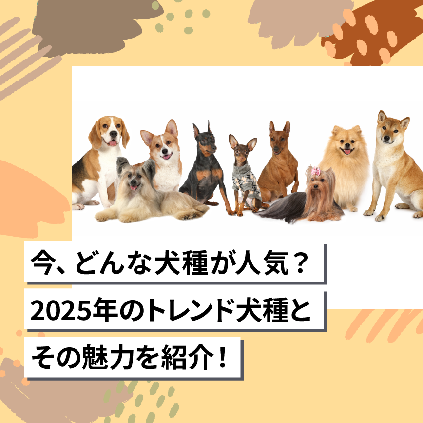 今、どんな犬種が人気？ 2025年のトレンド犬種とその魅力を紹介！