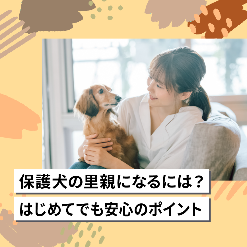 保護犬の里親になるには？ はじめてでも安心のポイント