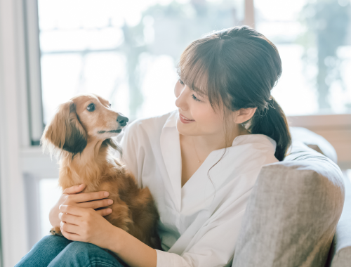 保護犬の里親になるには？ はじめてでも安心のポイント