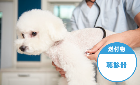 健康チェック！心臓の音をきいてみよう