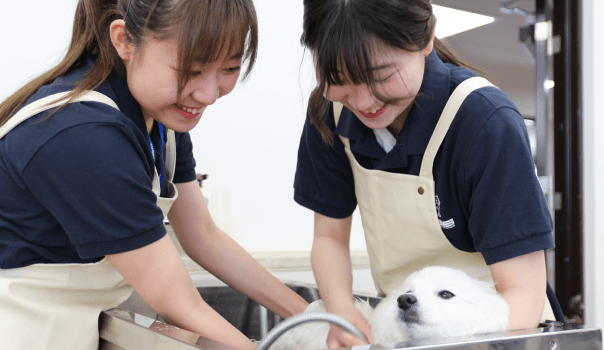 オープンキャンパス